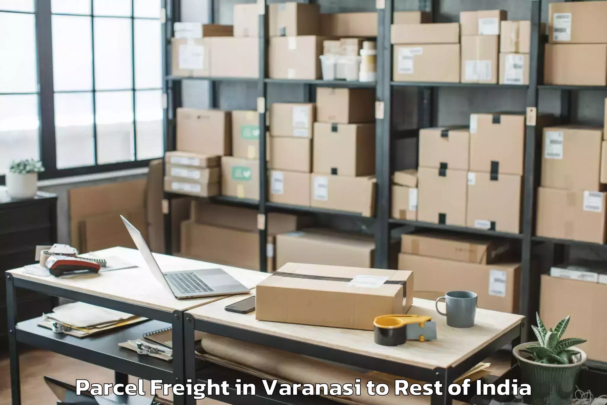 Reliable Varanasi to Tral Parcel Freight